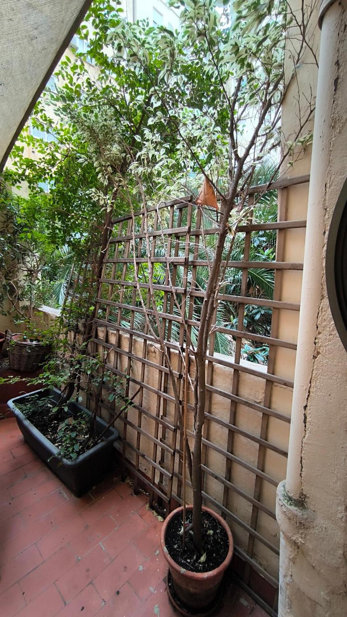 7 Moons B&B Valencie Exteriér fotografie